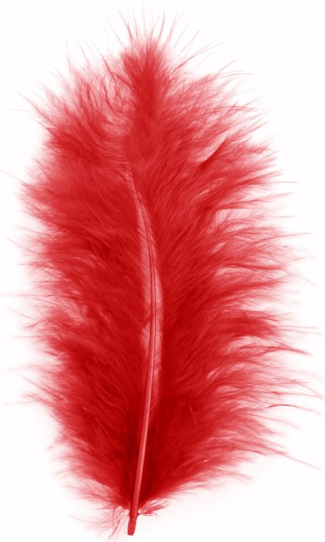 Products | CA-146 Red feathers - 20 Pcs 5-12 cm P12